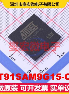 AT91SAM9G15-CU LFBGA-217 MCU/MPU/SOC微处理器控制器