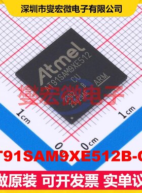 AT91SAM9XE512B-CU BGA-217 MCU/MPU/SOC微处理器控制器