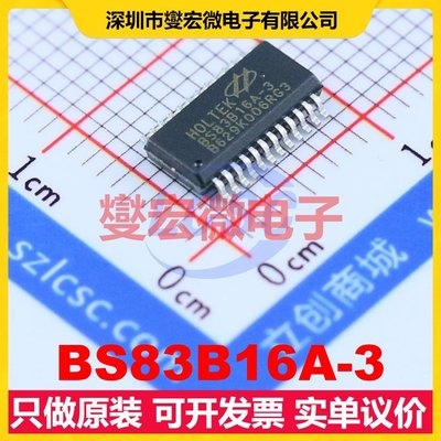 BS83B16A-3 SSOP-24-150mil MCU/MPU/SOC微处理器控制器