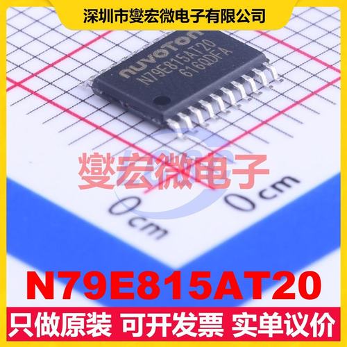 N79E815AT20 TSSOP-20 MCU/MPU/SOC微处理器控制器