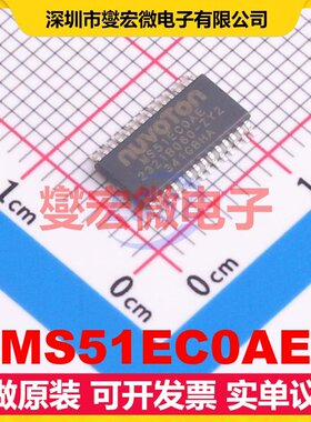 MS51EC0AE TSSOP-28 MCU/MPU/SOC微处理器控制器