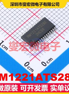 RM1221ATS28E TSSOP-28 MCU/MPU/SOC微处理器控制器