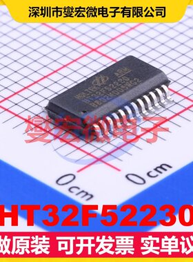 HT32F52230 SSOP-24 MCU/MPU/SOC微处理器控制器