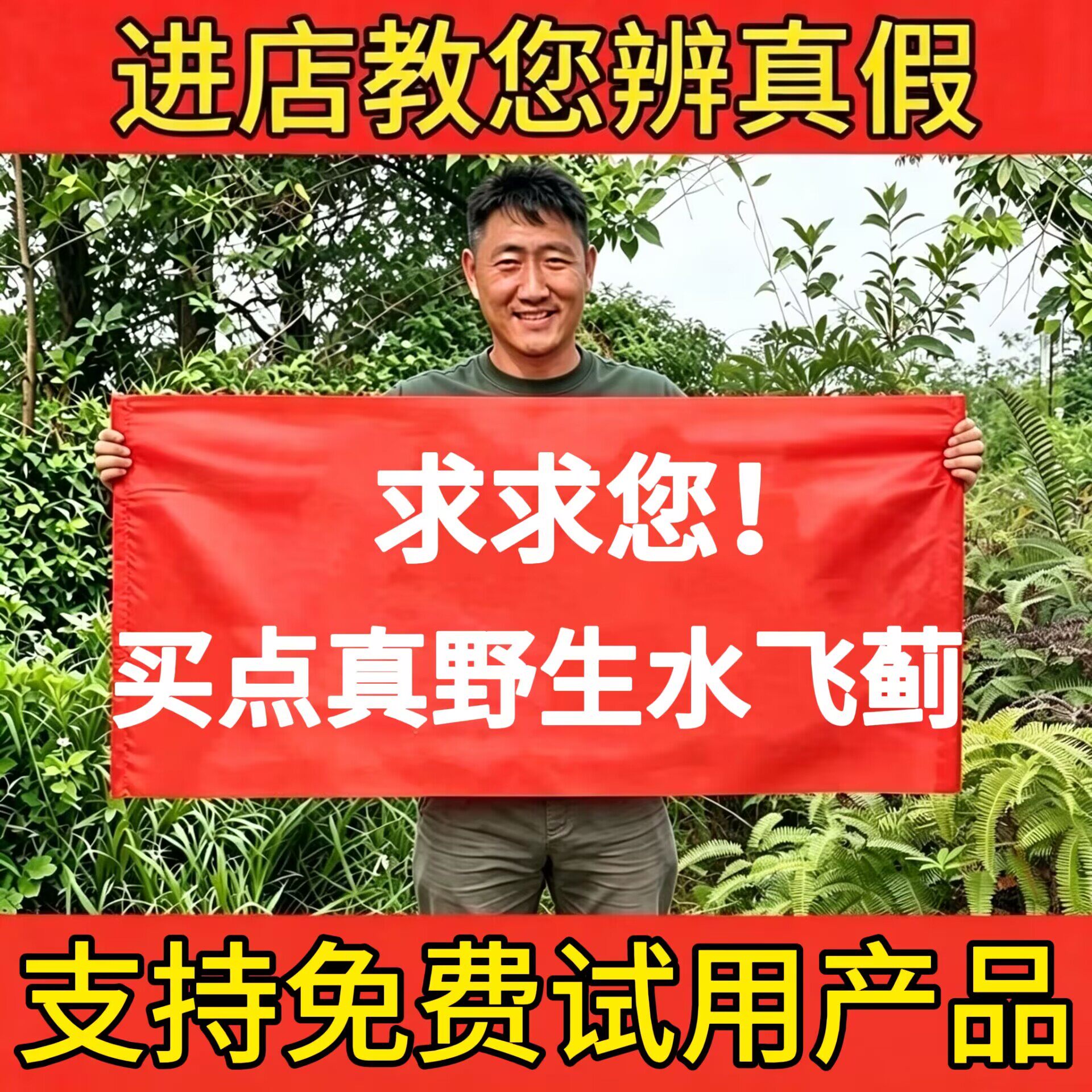 纯野生水飞蓟中药材500g奶蓟草水飞蓟籽水飞蓟子水飞蓟果泡水泡茶