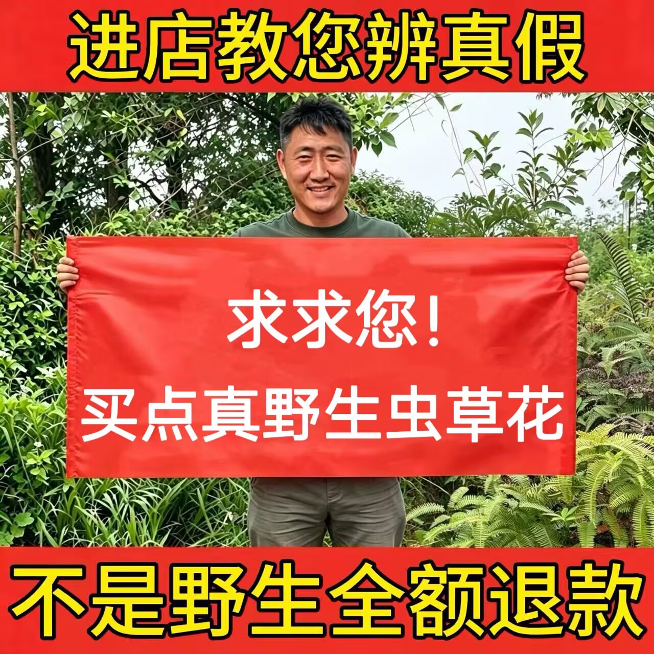 深山纯野生虫草花500g正品干货特级无硫孢子头野生蛹虫草滋补煲汤
