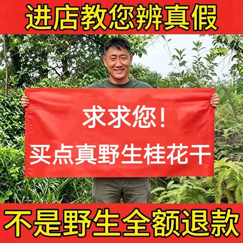 野生桂花干正品浓香泡茶泡酒烘焙