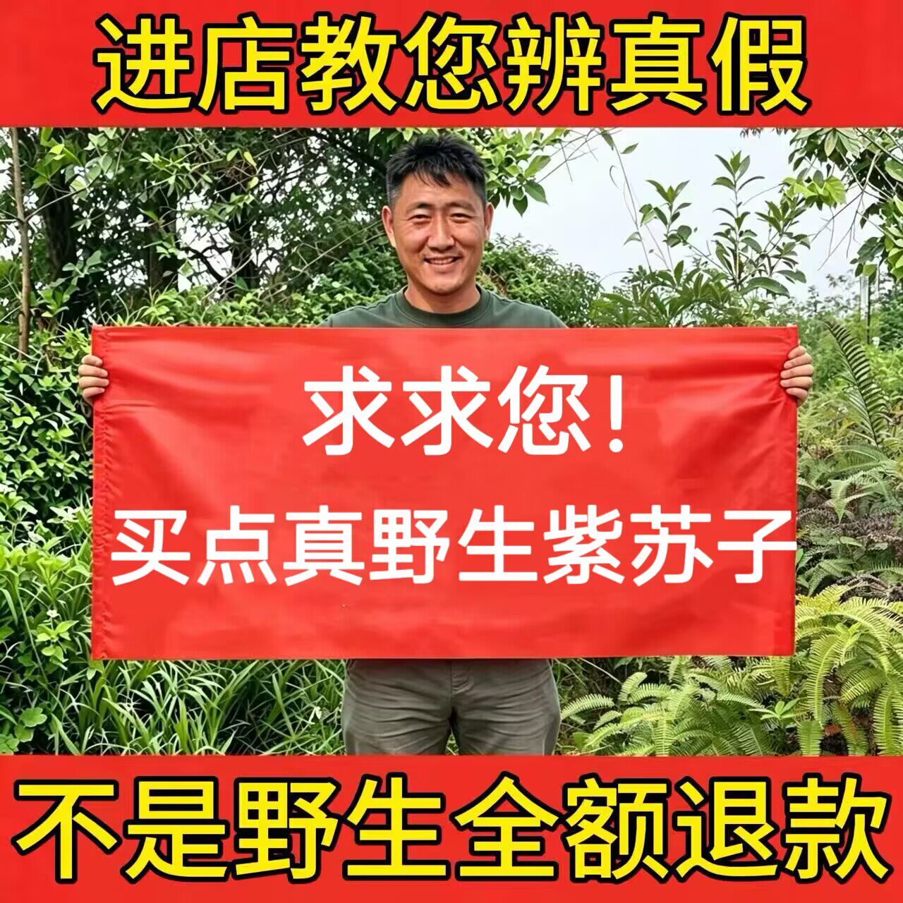 深山纯野生紫苏子500g中药材正品无硫熏紫苏籽粉烧烤调理撒料榨油