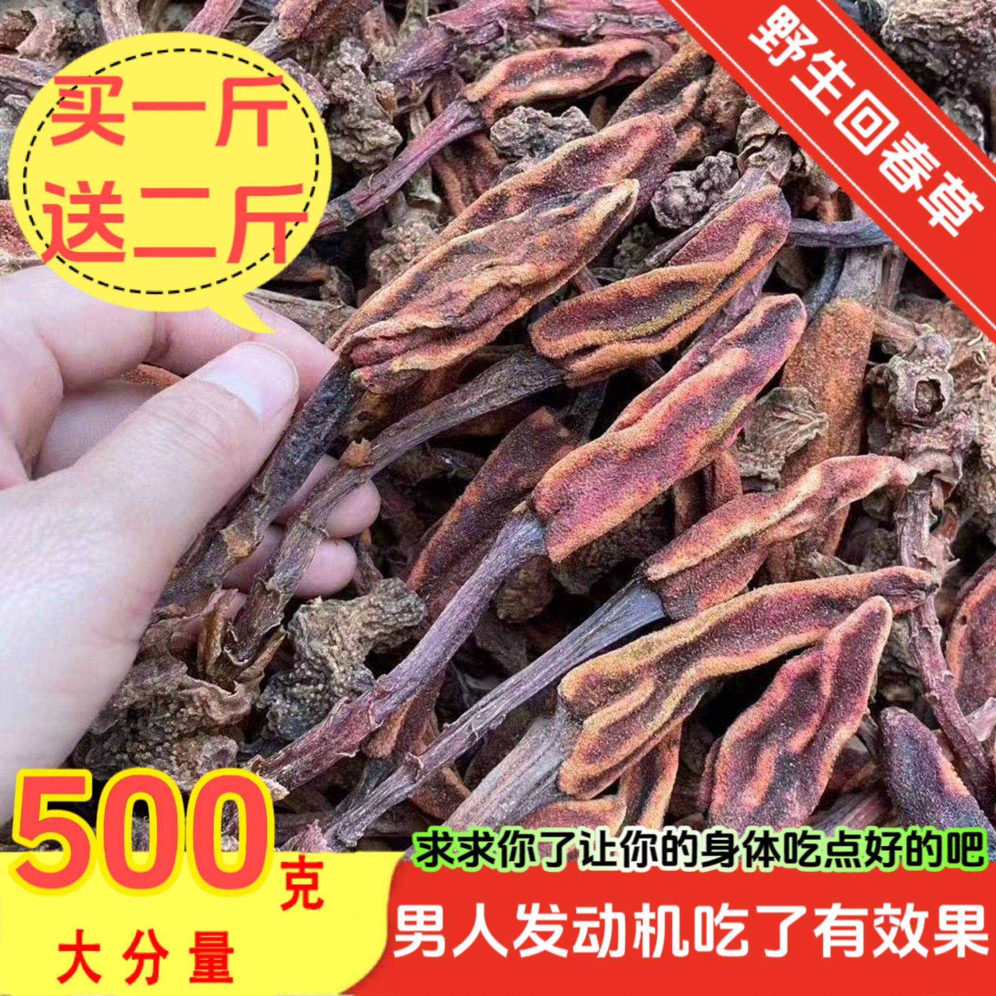 回春草野生云南新货正品泡酒泡水顶天柱不老草苁蓉男性滋补中药材