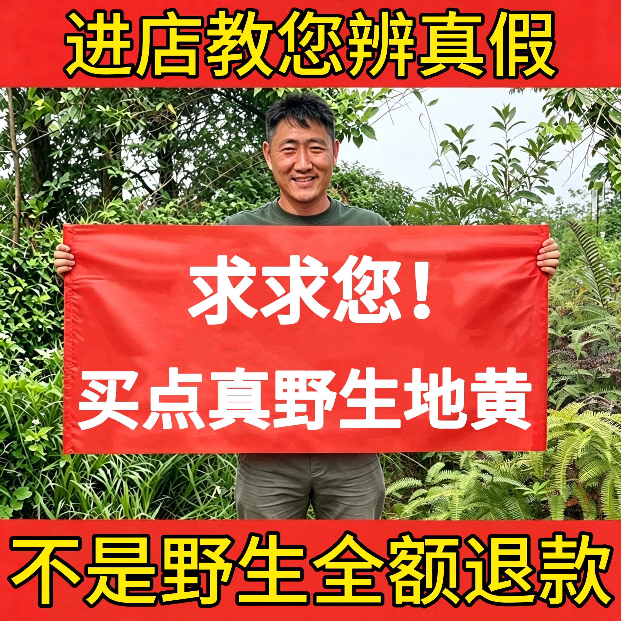 深山纯野生生地黄500g中药材正品新鲜干货怀地黄滋补煲汤泡茶水喝