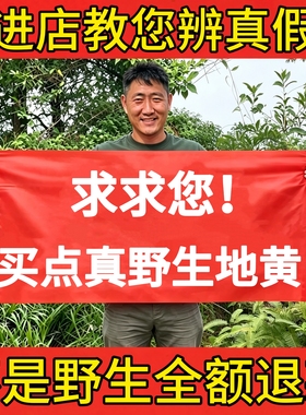 深山纯野生生地黄500g中药材正品新鲜干货怀地黄滋补煲汤泡茶水喝