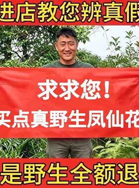 野生凤仙花正品金凤花纯天然新货