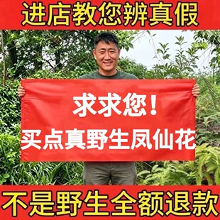 野生凤仙花正品干花中药材小桃红指甲草金凤花天然无硫新货泡茶酒