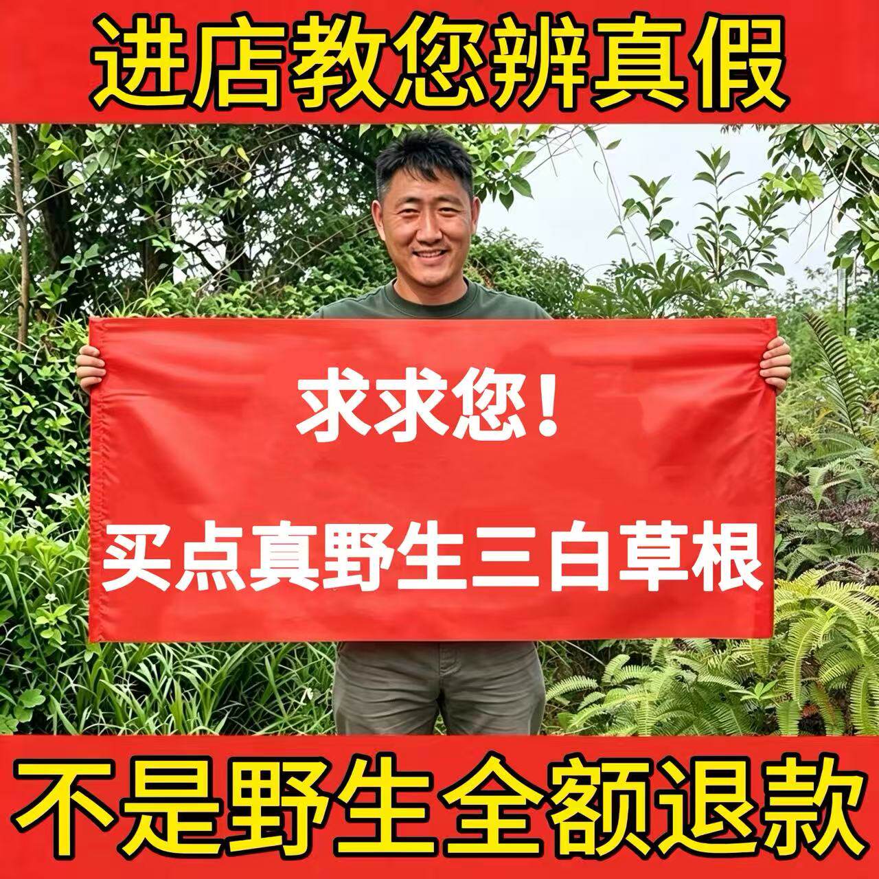 野生三白草根中药材500g正品新货晒干百节藕白花塘边藕天性草泡水