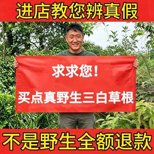 野生三白草根中药材500g正品新货晒干百节藕白花塘边藕天性草泡水