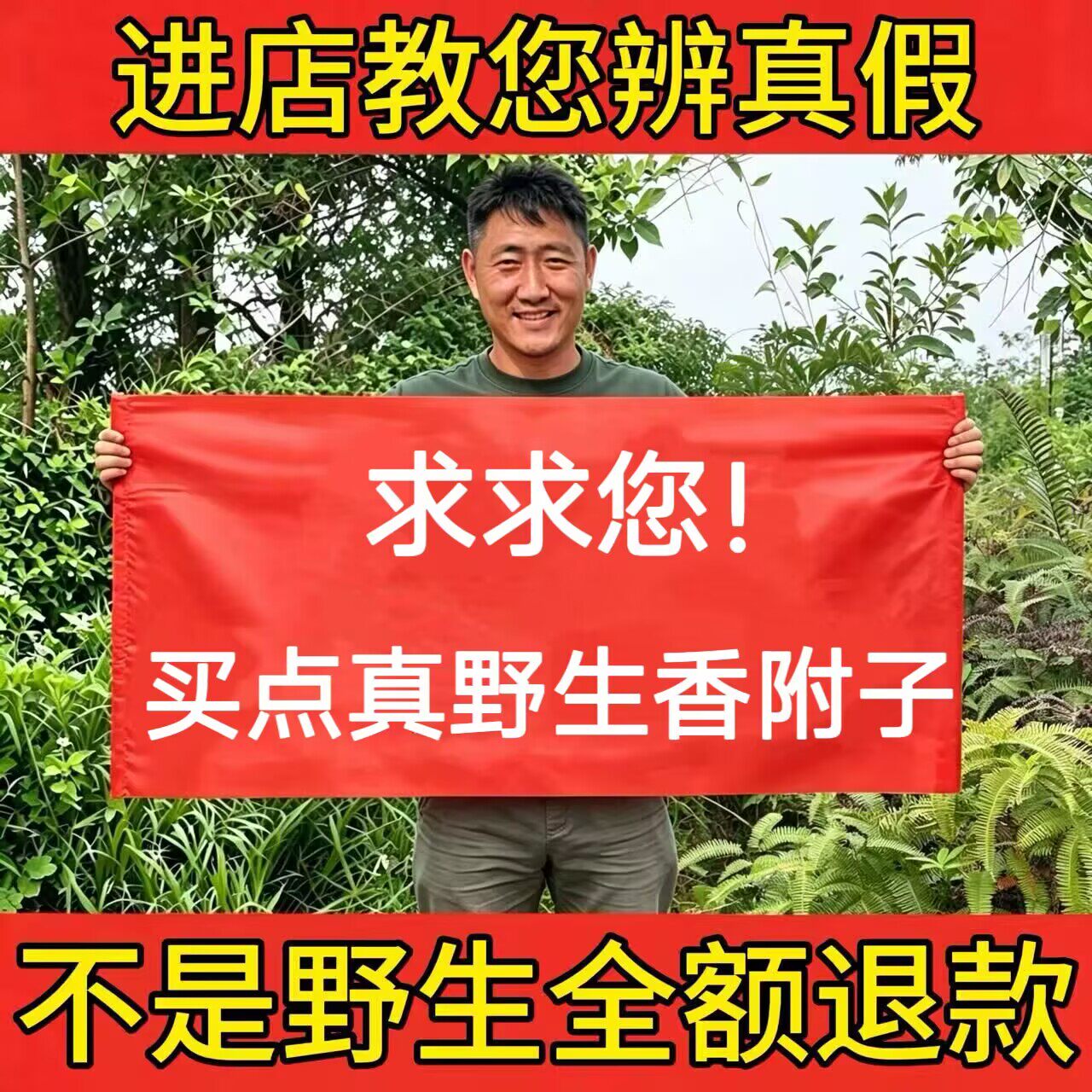 深山纯野生香附子500g中药材正品紫皮香附片雷公头香附粉泡茶煮水