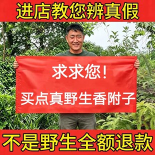 深山纯野生香附子500g中药材正品紫皮香附片雷公头香附粉泡茶煮水