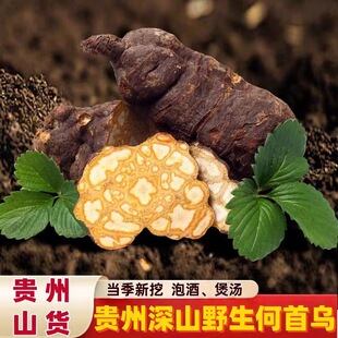 贵州新鲜野生何首乌中药材合首乌生首乌新鲜和首乌根泡酒护发药材