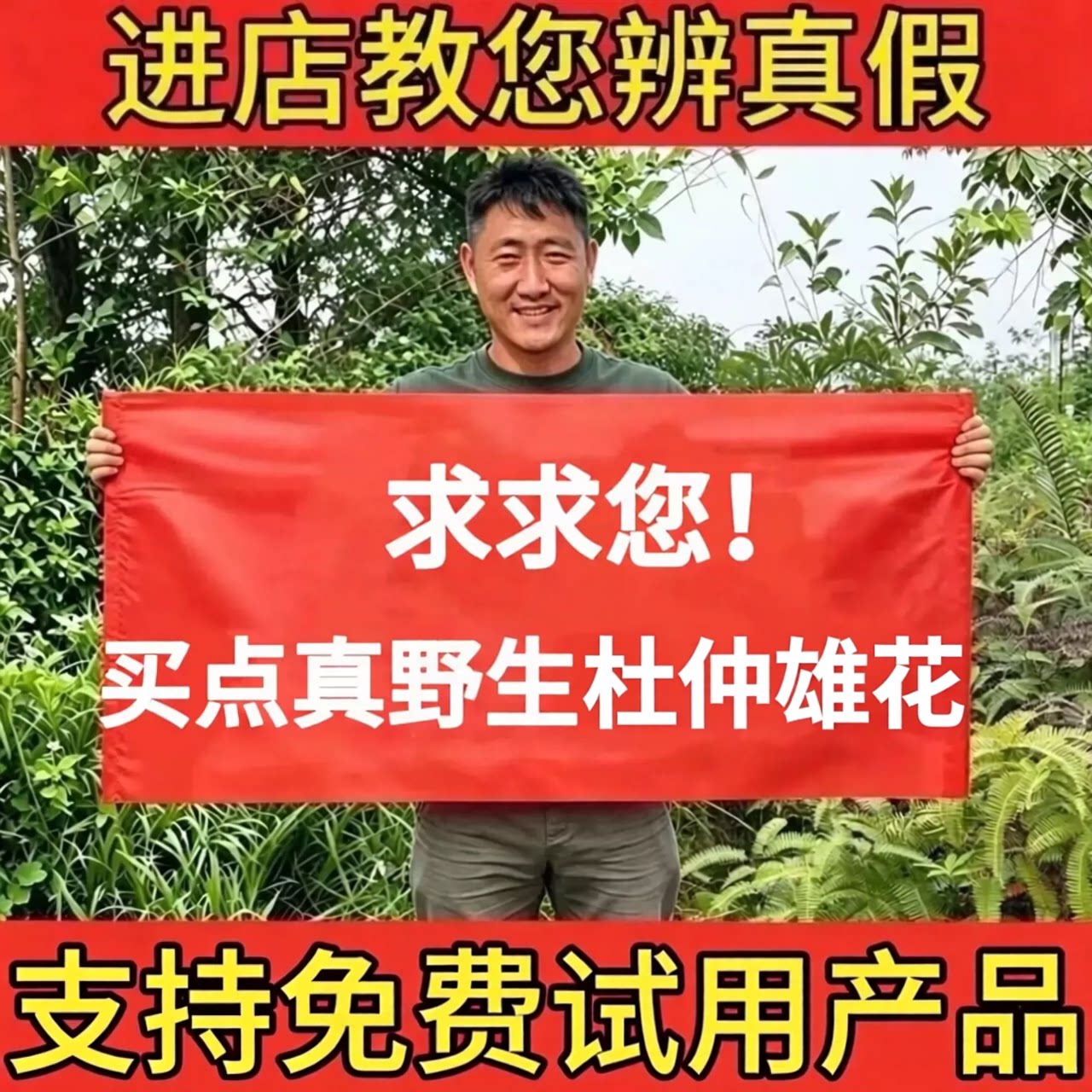 湖南张家界特产杜仲雄花搭人参黄精泡酒天然茶正品正宗泡水养生茶