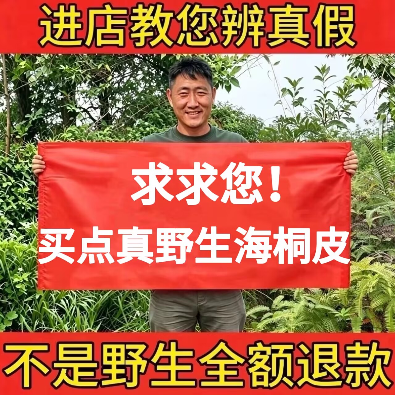 野生海桐皮正品中药材刺桐树皮鼓桐皮钉桐皮丁皮刺通老树新货泡脚