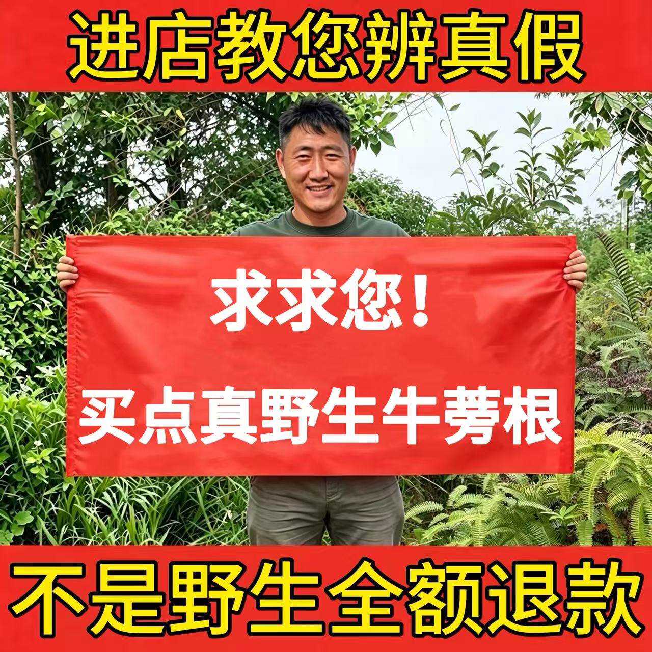 深山野生牛蒡根500g正品新鲜无硫熏牛蒡茶黄金茶牛蒡根片去火养肝