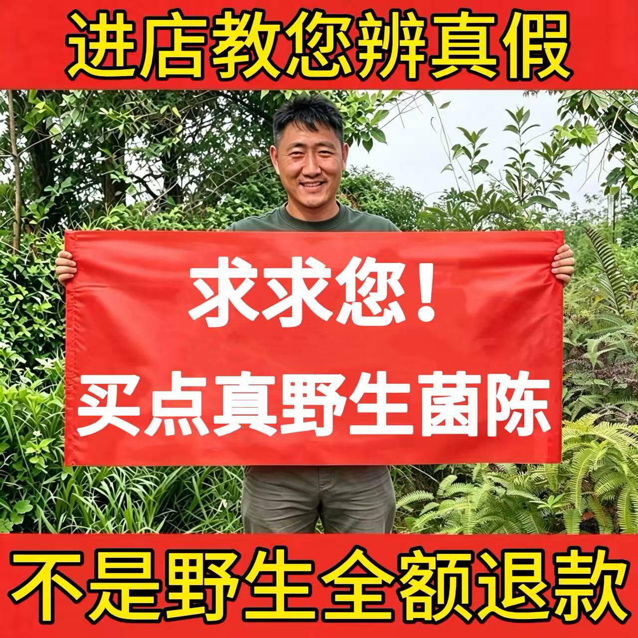 深山纯野生茵陈500g中药材三月茵陈草药白蒿棉茵陈茶新鲜泡水泡茶