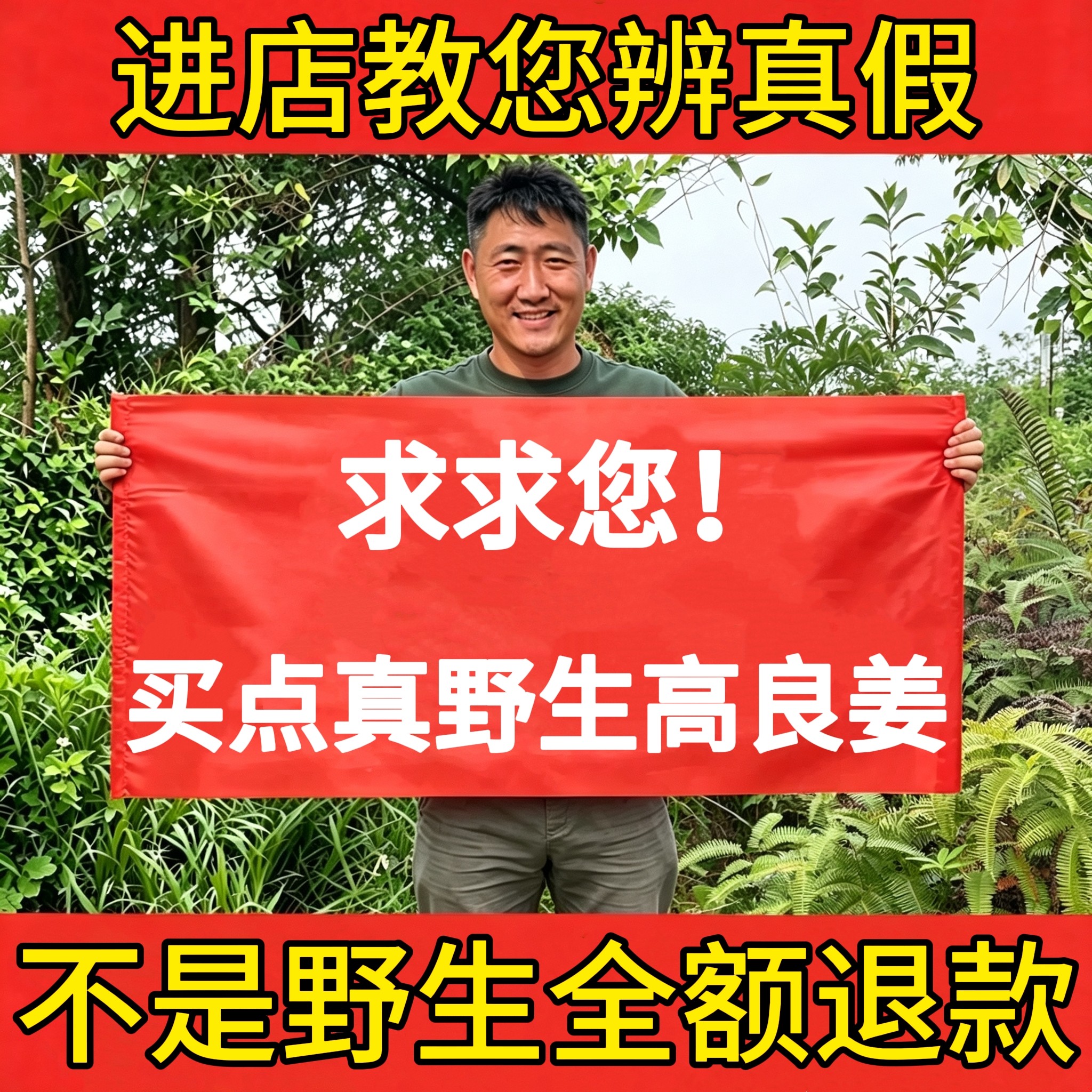 深山纯野生高良姜500g中药材正品新货无硫熏良姜片香料调味卤香浓