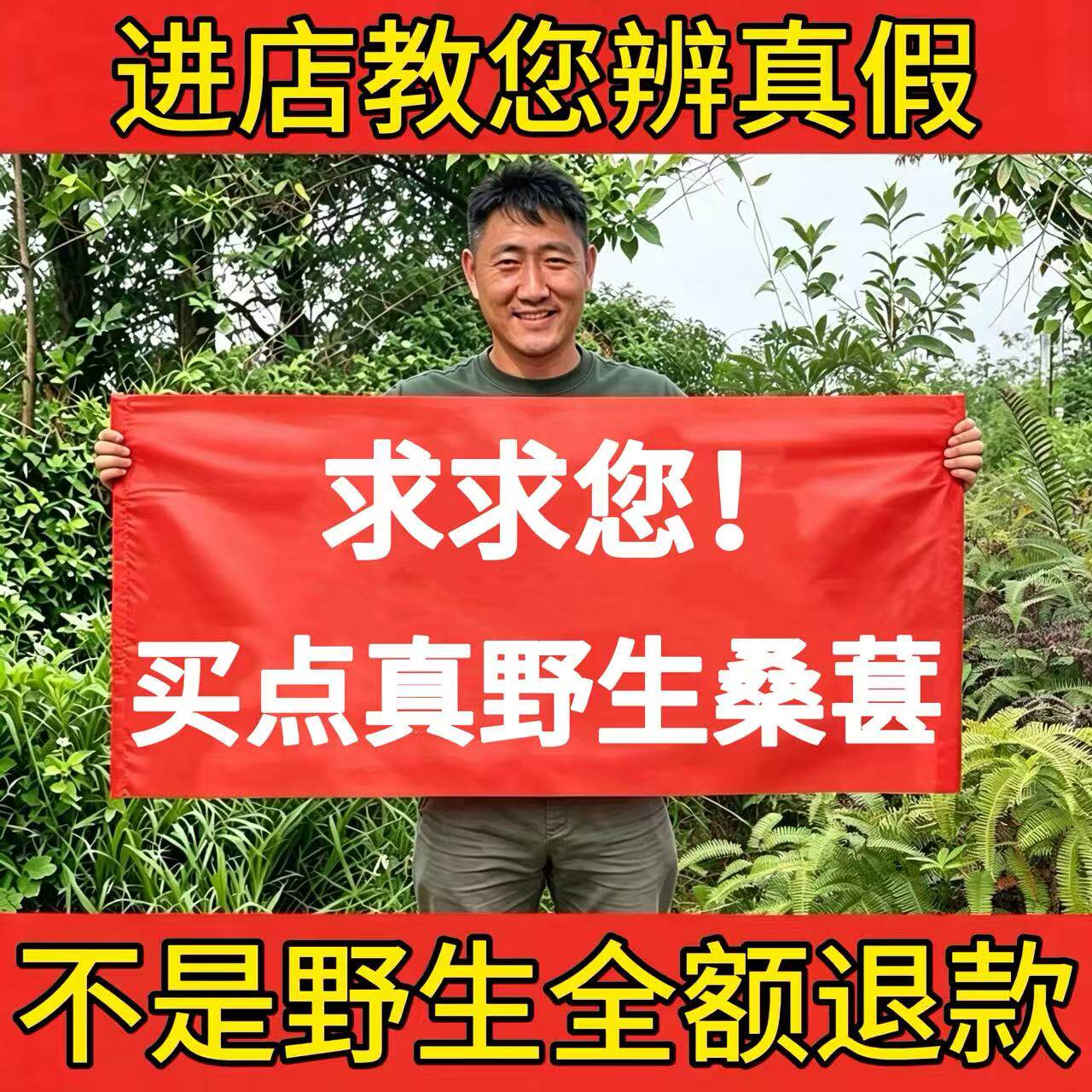 纯野生黑桑葚干500g中药材大果桑果子优质新鲜免洗即食泡酒泡茶水