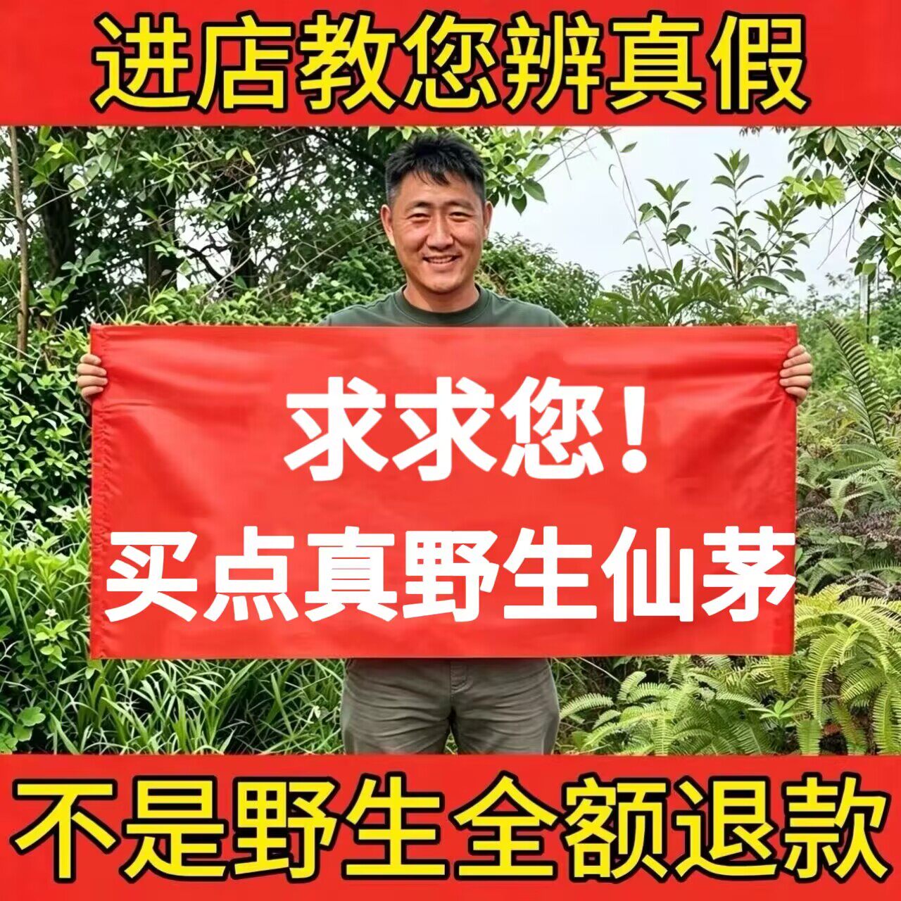 野生仙茅中药材500g正品独脚仙茅根仙茅草仙毛段天然新货无硫煲汤