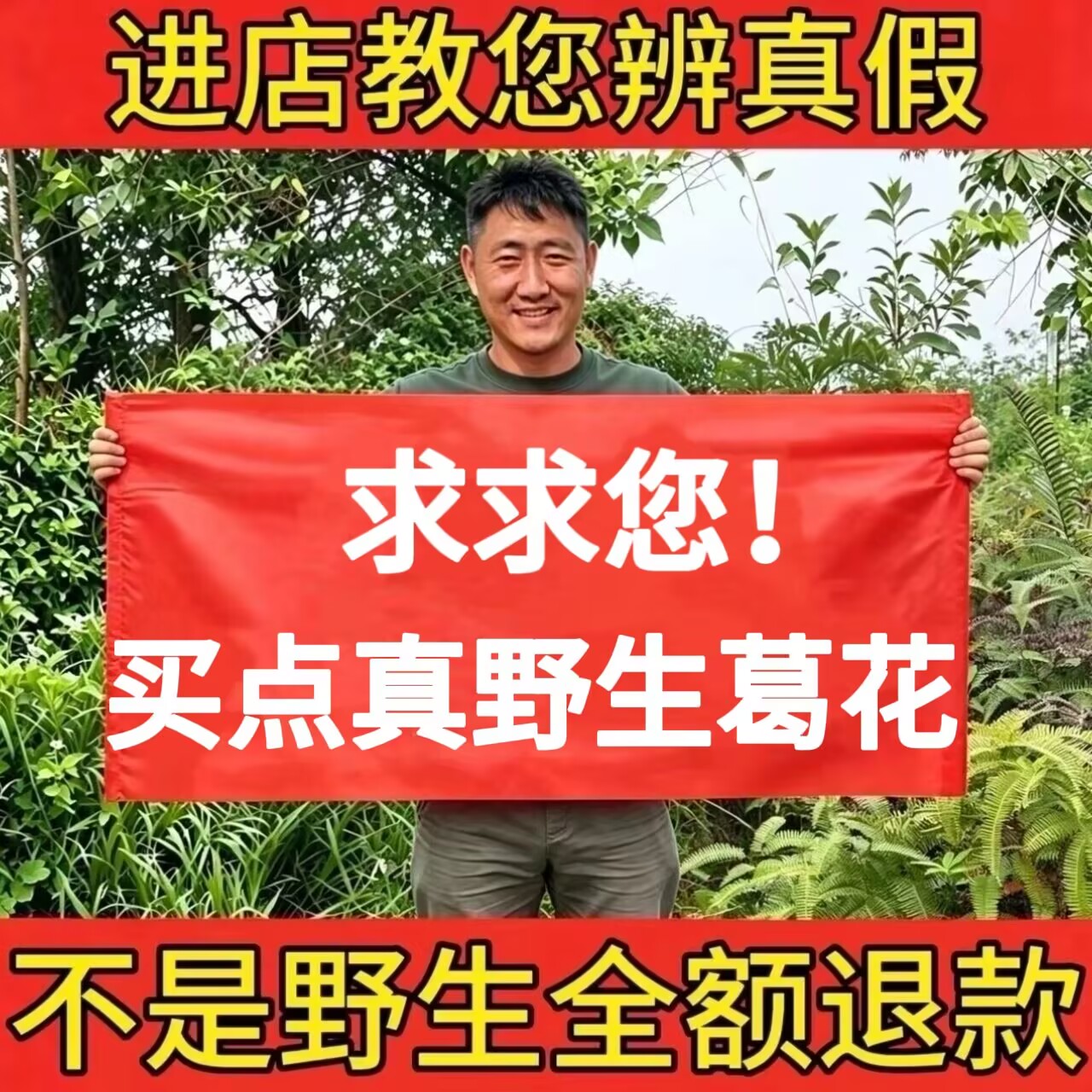 深山野生葛花中药材正品新货葛根花应酬酒后泡水醒酒解酒葛藤花茶