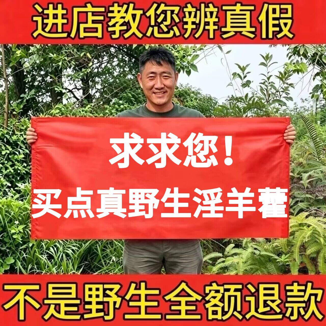 野生淫羊藿正品中药材肉苁蓉锁阳小叶淫羊藿威灵脾男性泡酒泡茶水