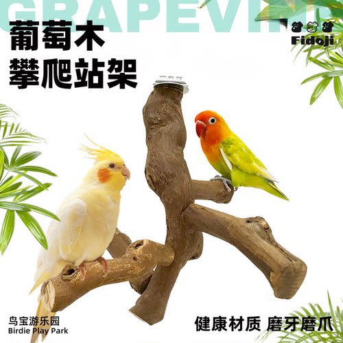 鹦鹉葡萄木站杆栖息磨爪笼内装饰