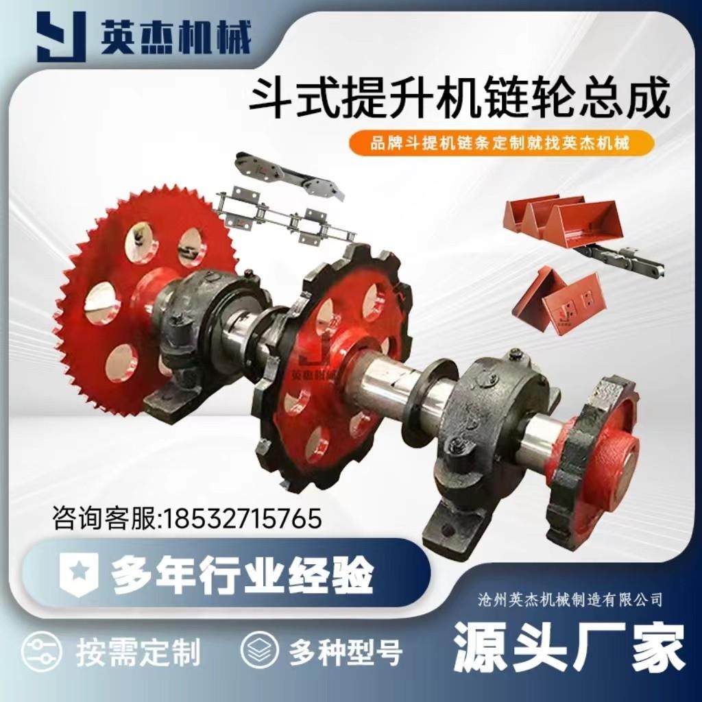 NE斗式提升机链轮斗提机传动链轮总成非标定制提升机上下链轮配件