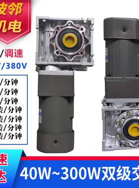交流220V380V60W120W250W涡轮蜗杆齿轮减速机断电自锁低速刹车电