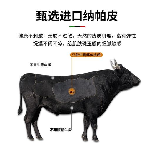 意式极简真皮床1米8床双人床高端大气主卧1米5软包现代简约肌肉床