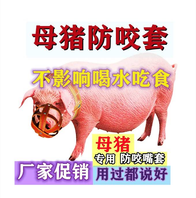 猪嘴笼套猪嘴母猪嘴套防咬套小猪崽猪防咬保护仔猪马牛羊防吃东西