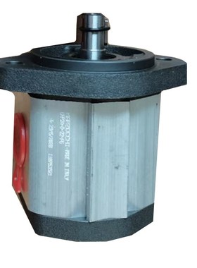 意大利MARZOCCHI泵GHP2A-D- 10 12 13 16 20 22 25 30 40 50 -FG