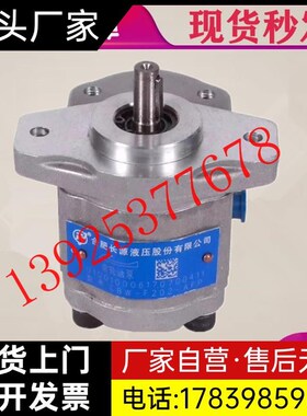 HCHC 合肥长源齿轮泵CBW-F304/F306/F310/F316-ALP CFP CFH A厂家
