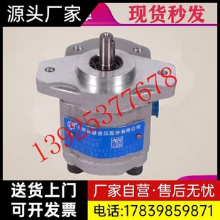 F306 F310 CFH 合肥长源齿轮泵CBW A厂家 CFP F304 ALP HCHC F316