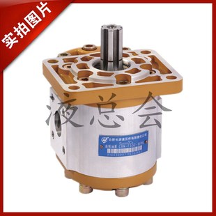 ALX F425 原装 HCHC合肥长源齿轮泵CBTN