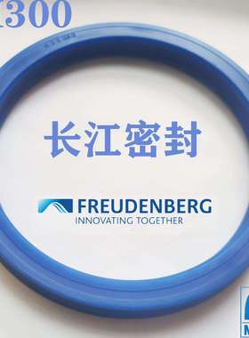 XN9048 65-75-12 63-73-12cfw进口油封CFW MERKEL FREUDENBERG