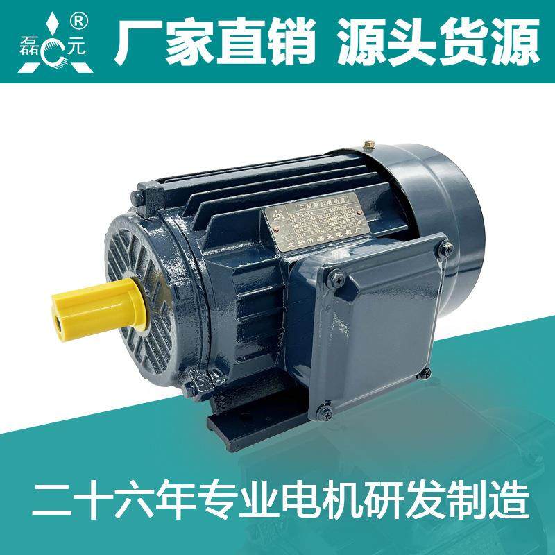 磊元YE3四极0.75/1.1/1.5KW三相电机,金属材料及制品,金属加工件/五金加工件,淘宝优惠券,粉丝福利购,淘宝优惠卷