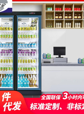 雅绅宝厂家直供超市饮料柜商用冷柜便利店立式双门啤酒冷藏柜设备