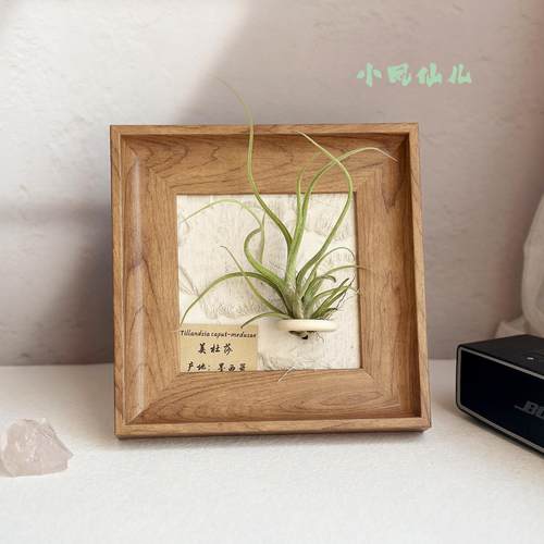 ins空气凤梨套餐懒人现代装饰画 画框覆古桌面室内挂墙原木色相框