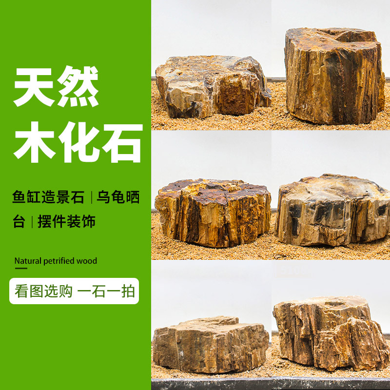 大型鱼缸装饰造景石大号假山天然木化石草缸水族原石摆件看图选-封面