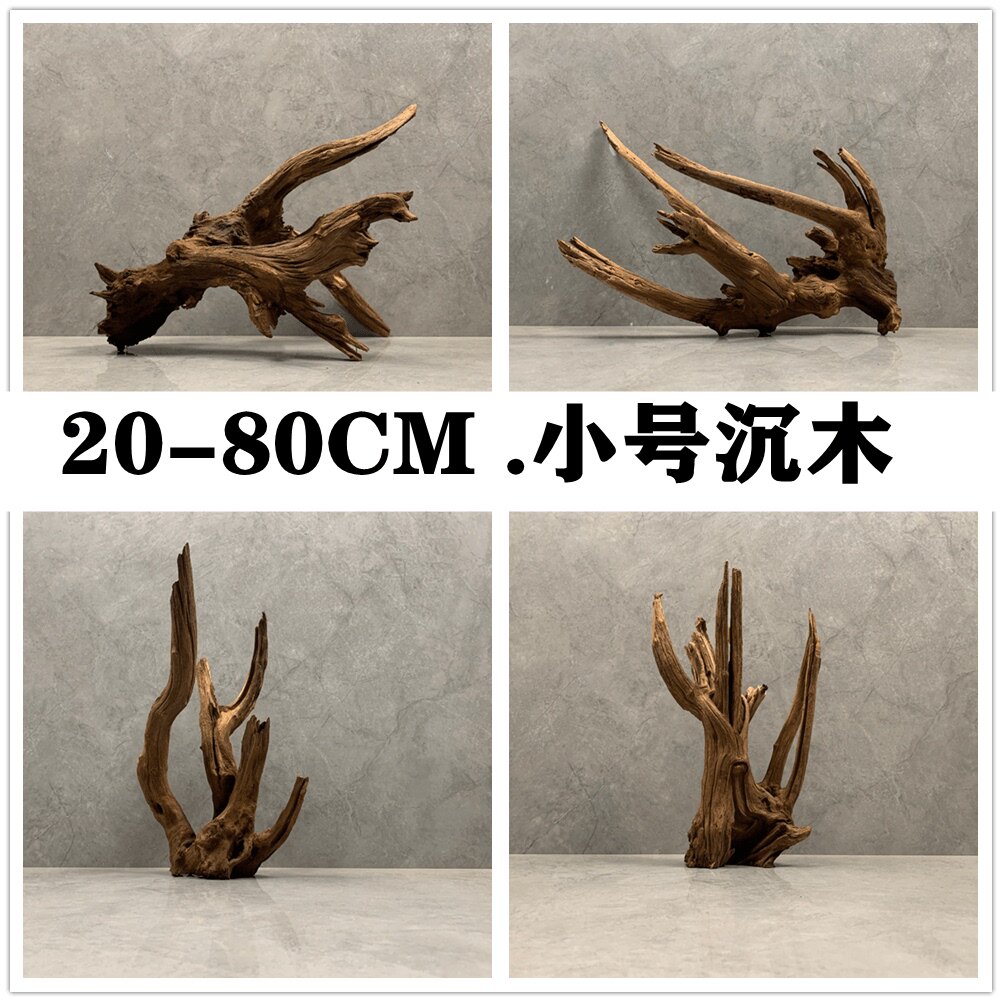 紫柚木 南美缸草缸造景 小尺寸沉木