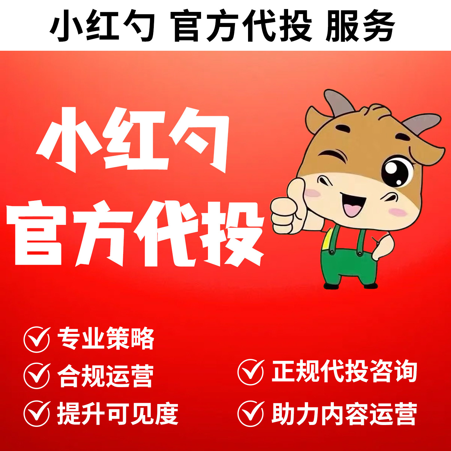 小红xh书推流小红薯推广笔记代投0基础起号官方推送运营xhs推送