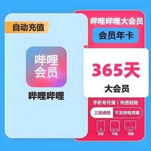 哔哩哔哩大会员年卡充值12个月bilibli超级大会员B站365 快充