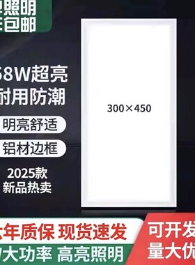 新品牌照明300x450灯LED厨卫灯30x45T厨房灯铝扣板嵌入式