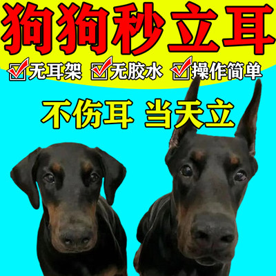 狗狗立耳神器杜宾专用立耳朵柯基德牧黑狼犬边牧泰迪辅助竖耳贴