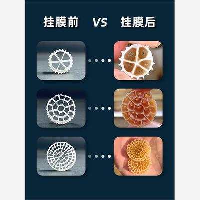 K1K3K5流化床填料Mbbr污